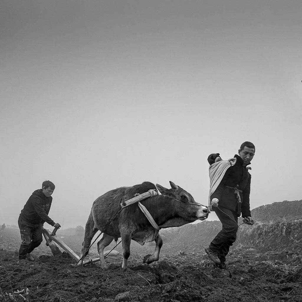 國際旅遊攝影網2026年國內外攝影路線全景指南