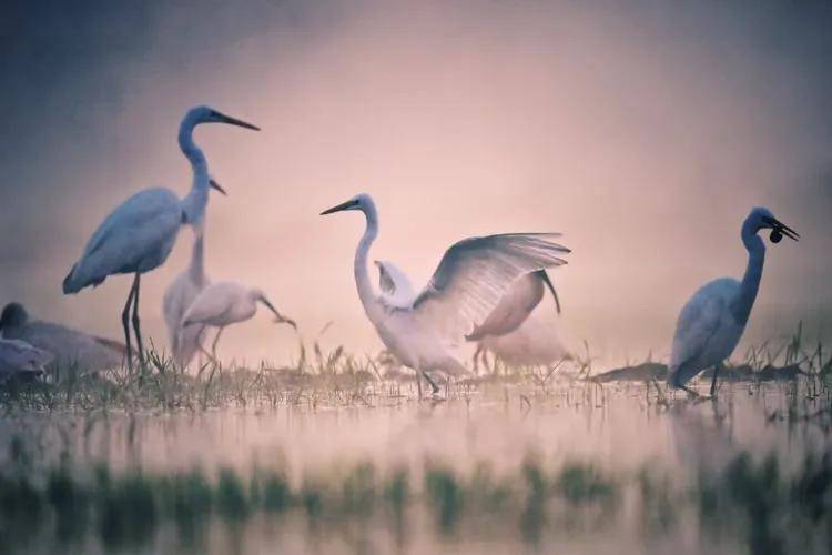 國際旅遊攝影網2026年國內外攝影路線全景指南