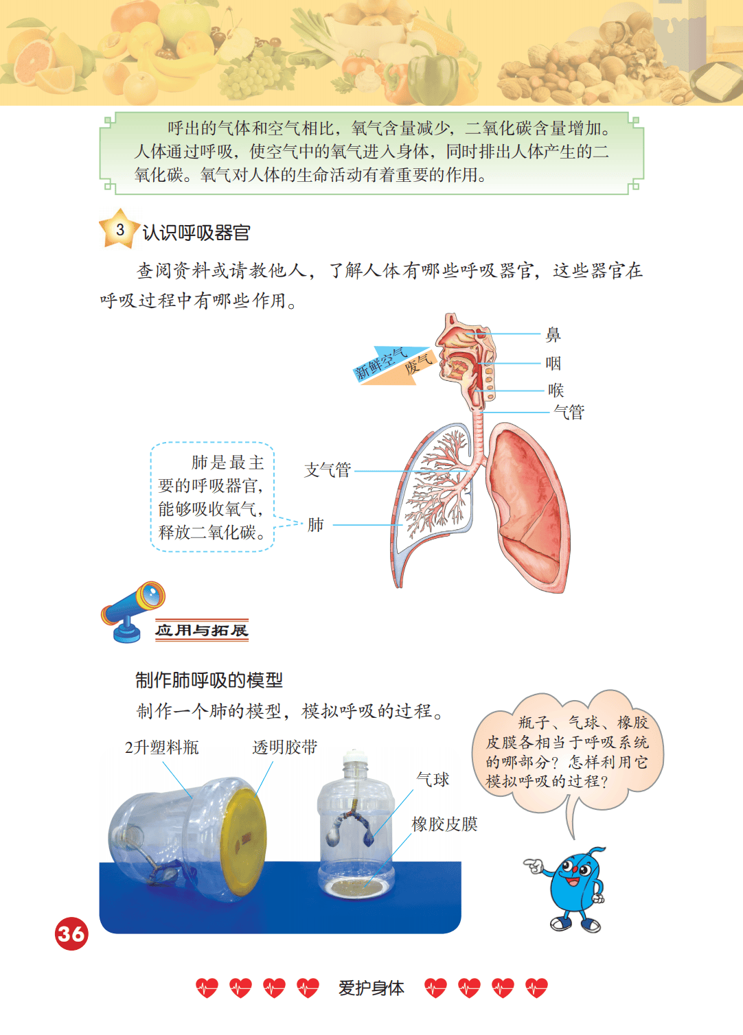 2026冀人版四年級科學下冊電子課本(PDF高畫質版新教材)