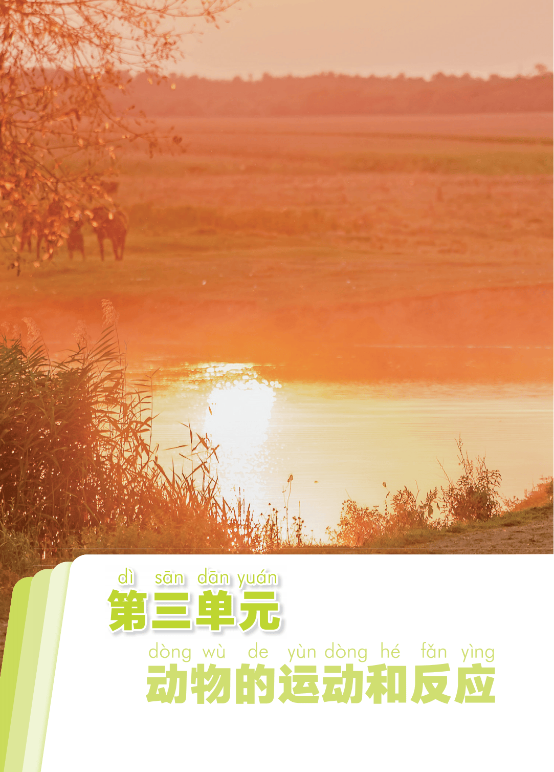 2026青島版一年級科學下冊電子課本(PDF高畫質版新教材)