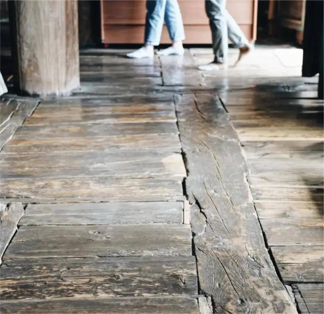 從遮蔽到表達：當地板行業迎來它的“新質生產力”