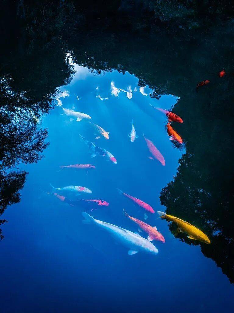 收藏！²⁰²⁶/₀₂.₁₆除夕朋友圈文案來啦