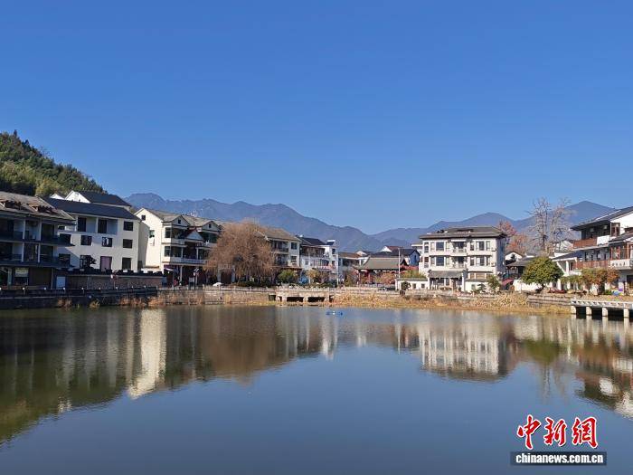 （新春走基層）浙江高校黨外代表人士築夢綠水青山間 以科技賦能鄉村共富