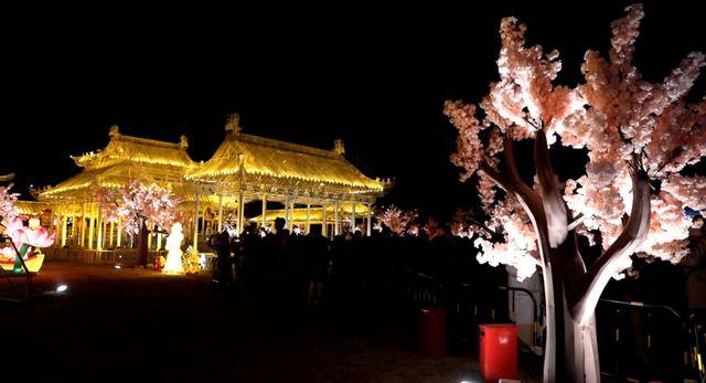 逛圓明園賞燈會！留學生在海淀沉浸式體驗“中國年”