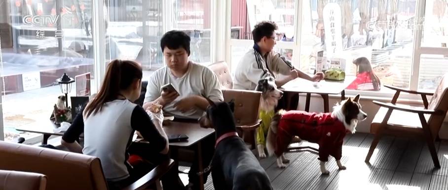 透過“科技旅拍”“電子年貨”“冰雪+寵物”解鎖春節消費新亮點