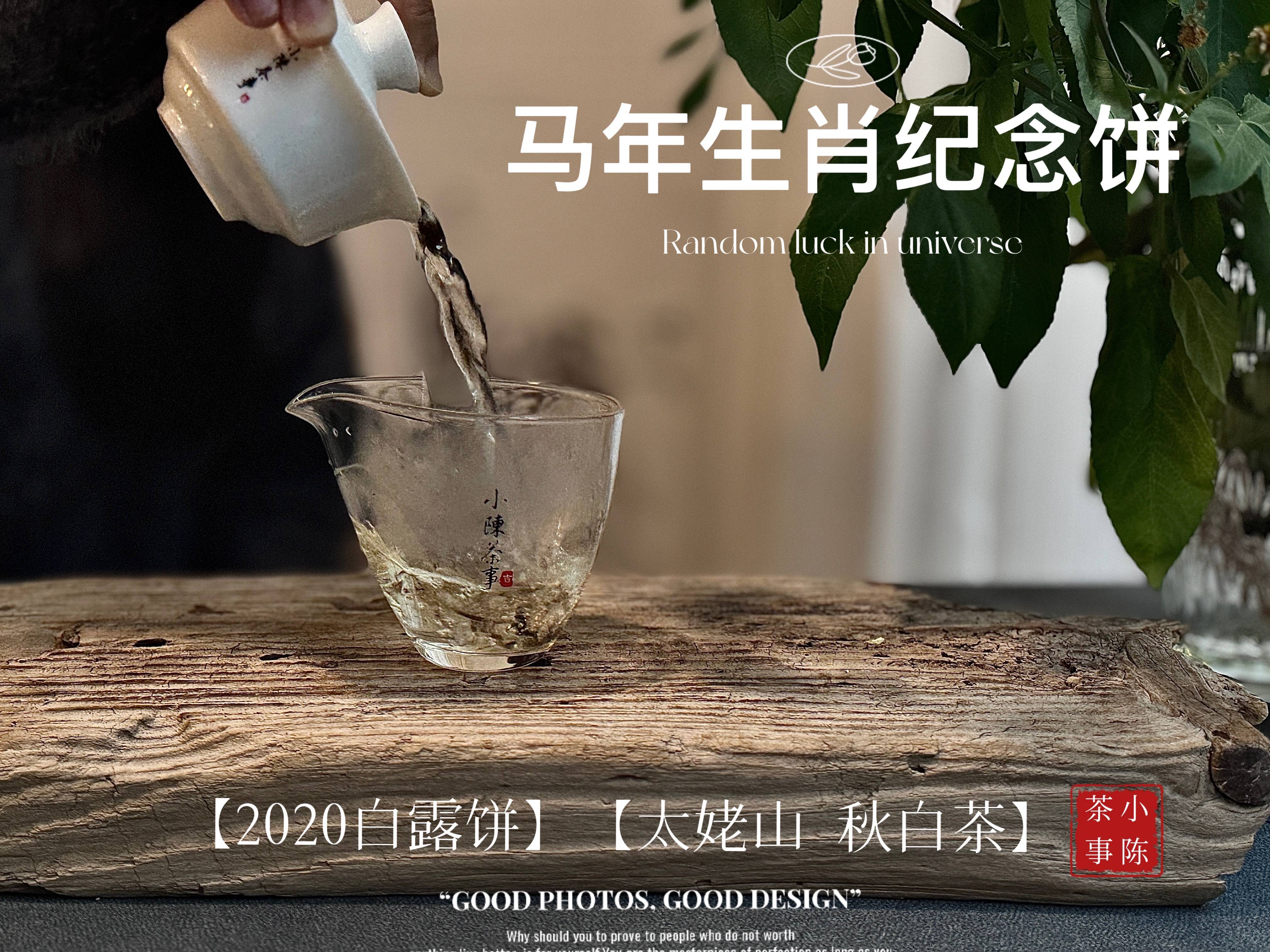 原創收藏白茶，我都只存白茶餅，因為散茶會跑氣串味變質？