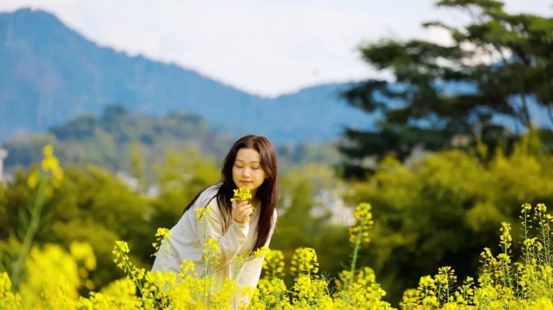 收藏！泉州春日賞花去哪裡？花期+地址全攻略