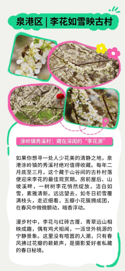 收藏！泉州春日賞花去哪裡？花期+地址全攻略