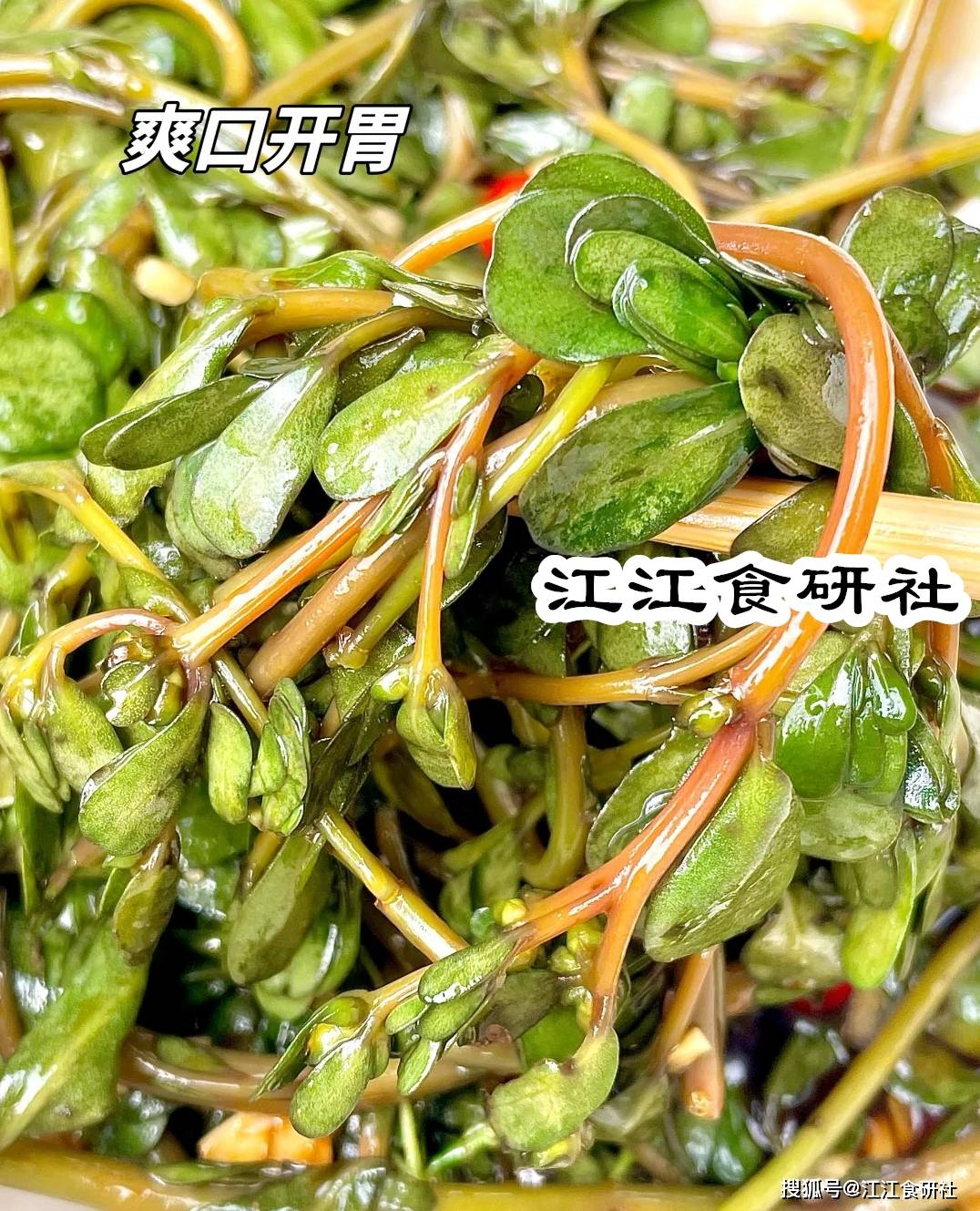 原創春季，少吃油炸食品！多吃這3樣“涼血降火菜”，建議收藏！