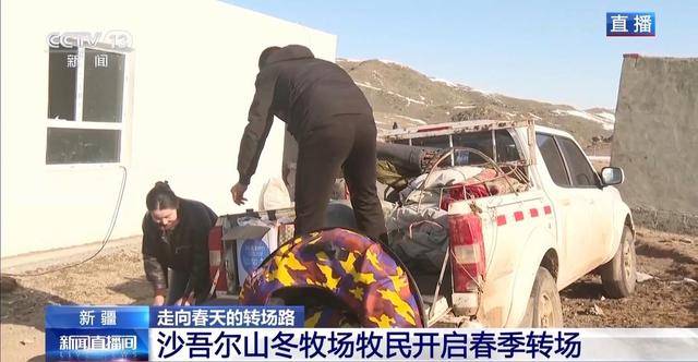 20萬餘頭牛羊“搬家”進行中 阿勒泰春季轉場有多壯觀