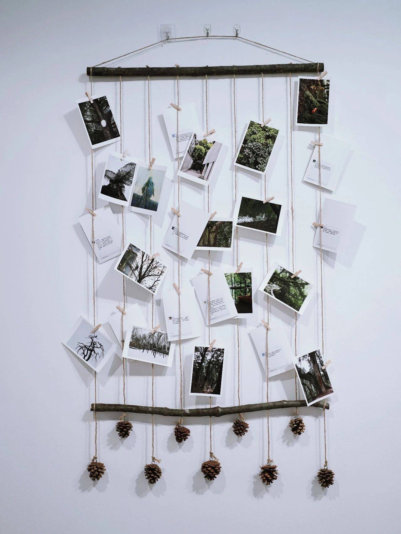 我是最小單位的自然，做書圖書市集出攤！