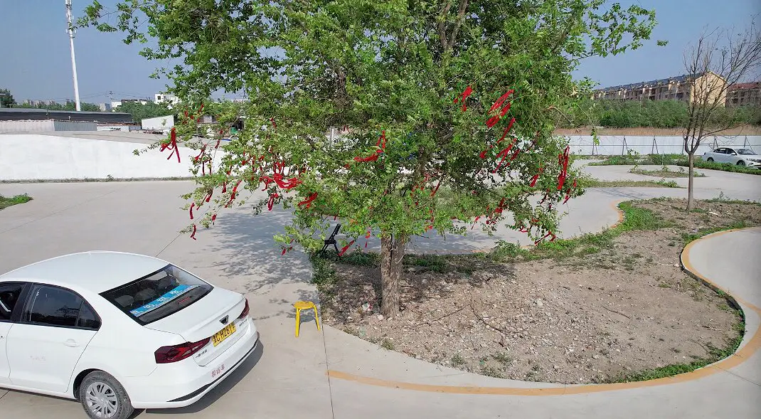 分享正規口碑好駕校服務推薦，靠譜的駕校有哪些？